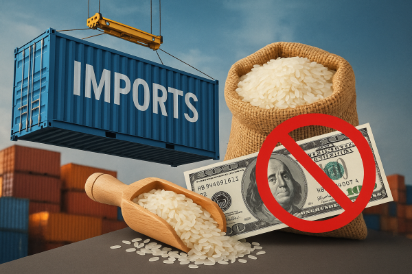Productores advierten que importar arroz es inviable por logística y falta de dólares